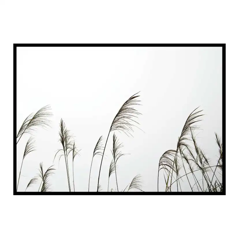 Poster Gallerix Reed Flowers