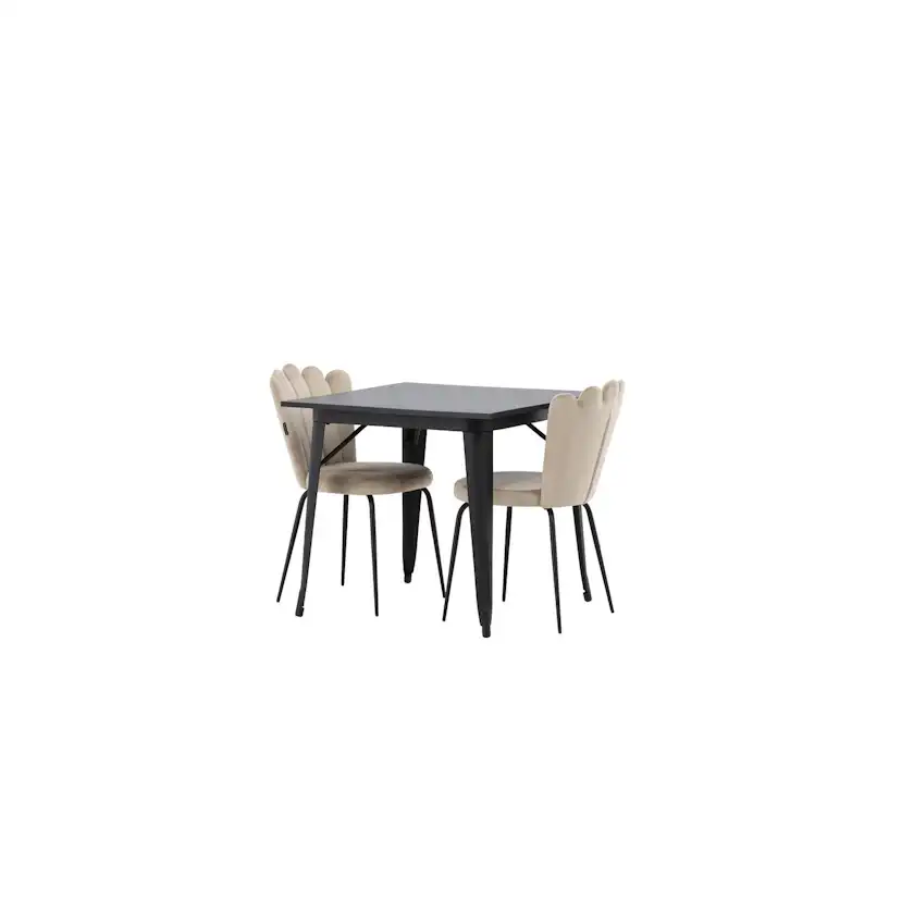 Matgrupp Venture Home Tempe med 2 Limhamn Light Stolar