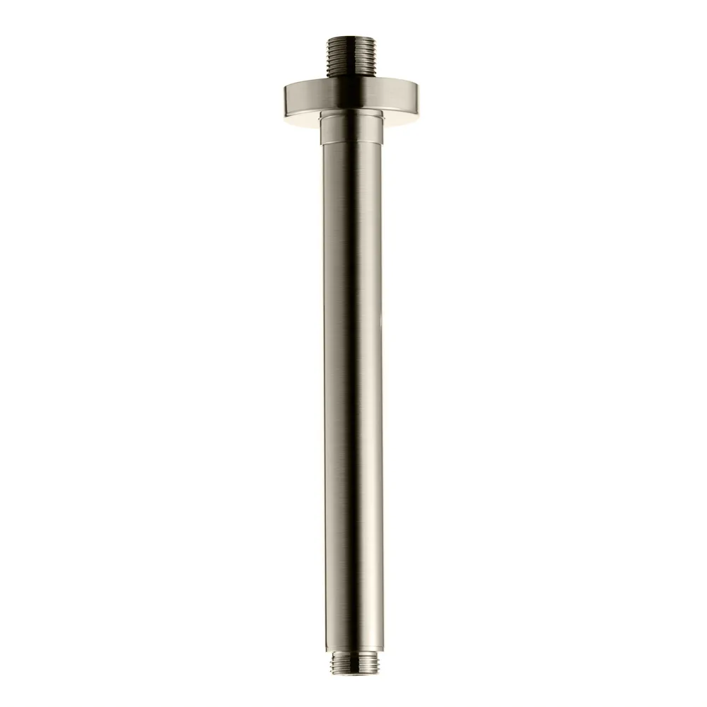 Borstad Nickel