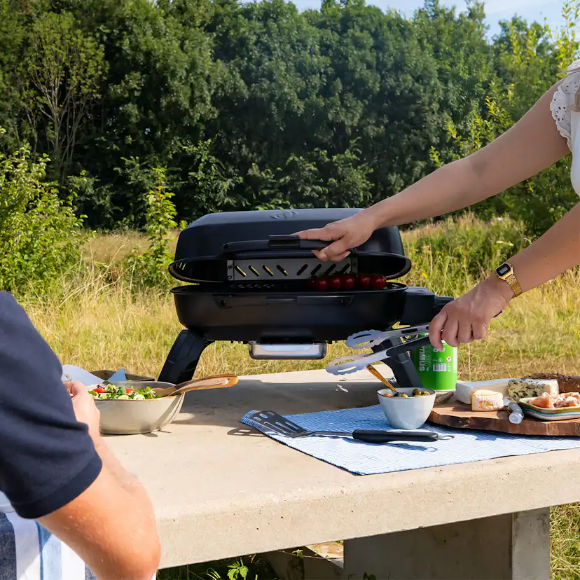 Gasolgrill Napoleon TQ240-1