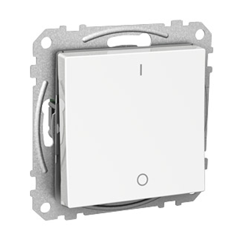 Strömbrytare Schneider Electric Exxact 2-pol Infälld