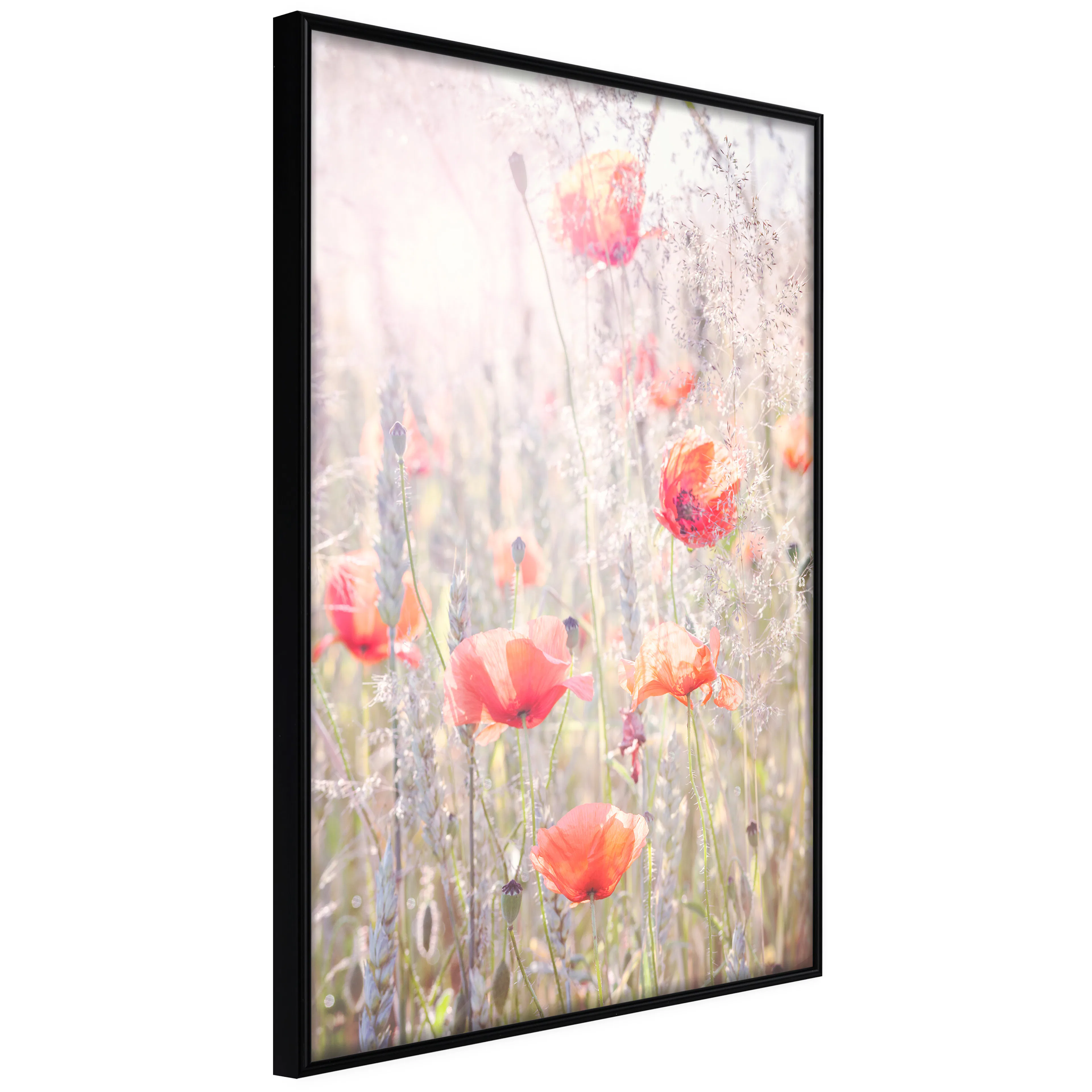 Affisch - Summer Meadow [Poster] 20x30 Svart ram, 20x30 cm