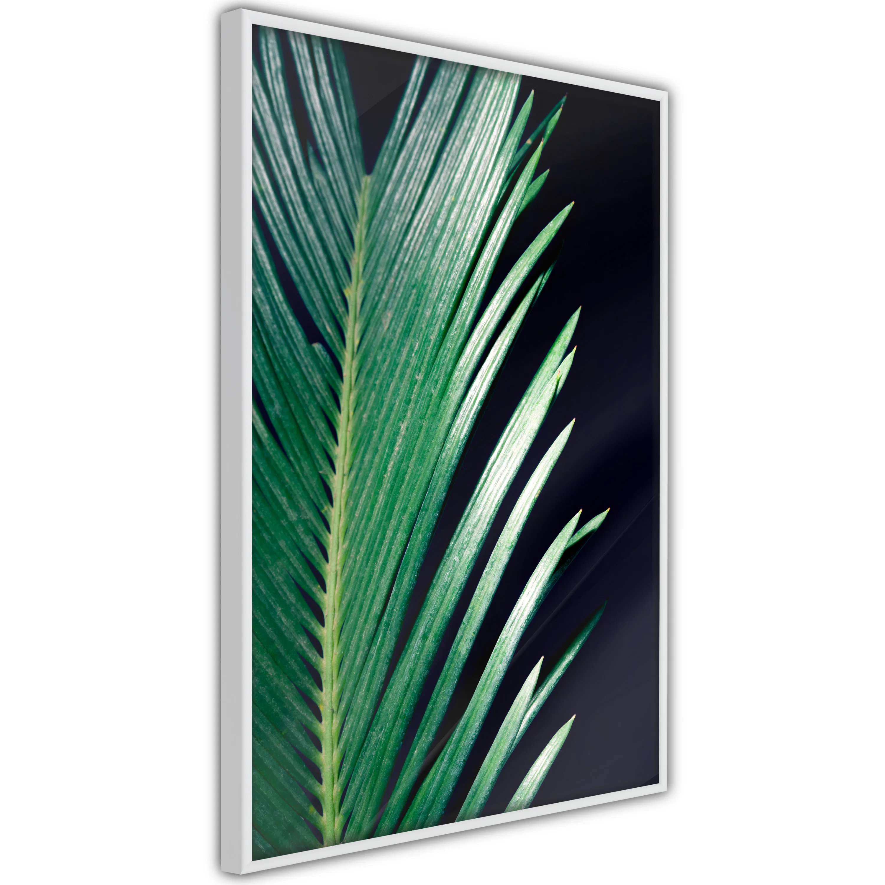 Poster Artgeist Affisch Sharp Leaves