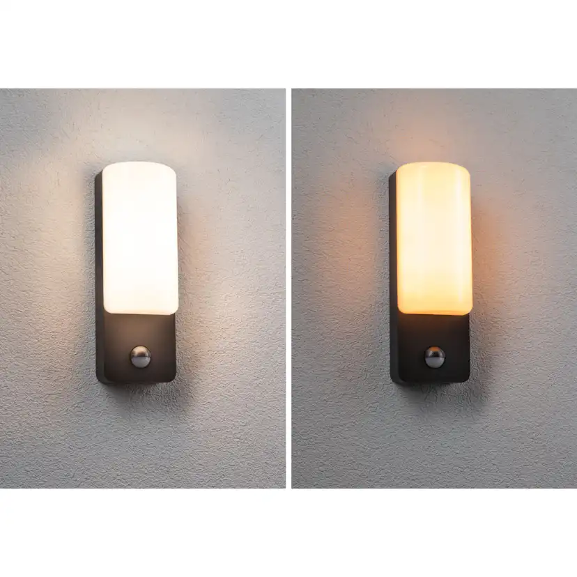 Fasadbelysning LED Paulmann Bonnie IP44 230V