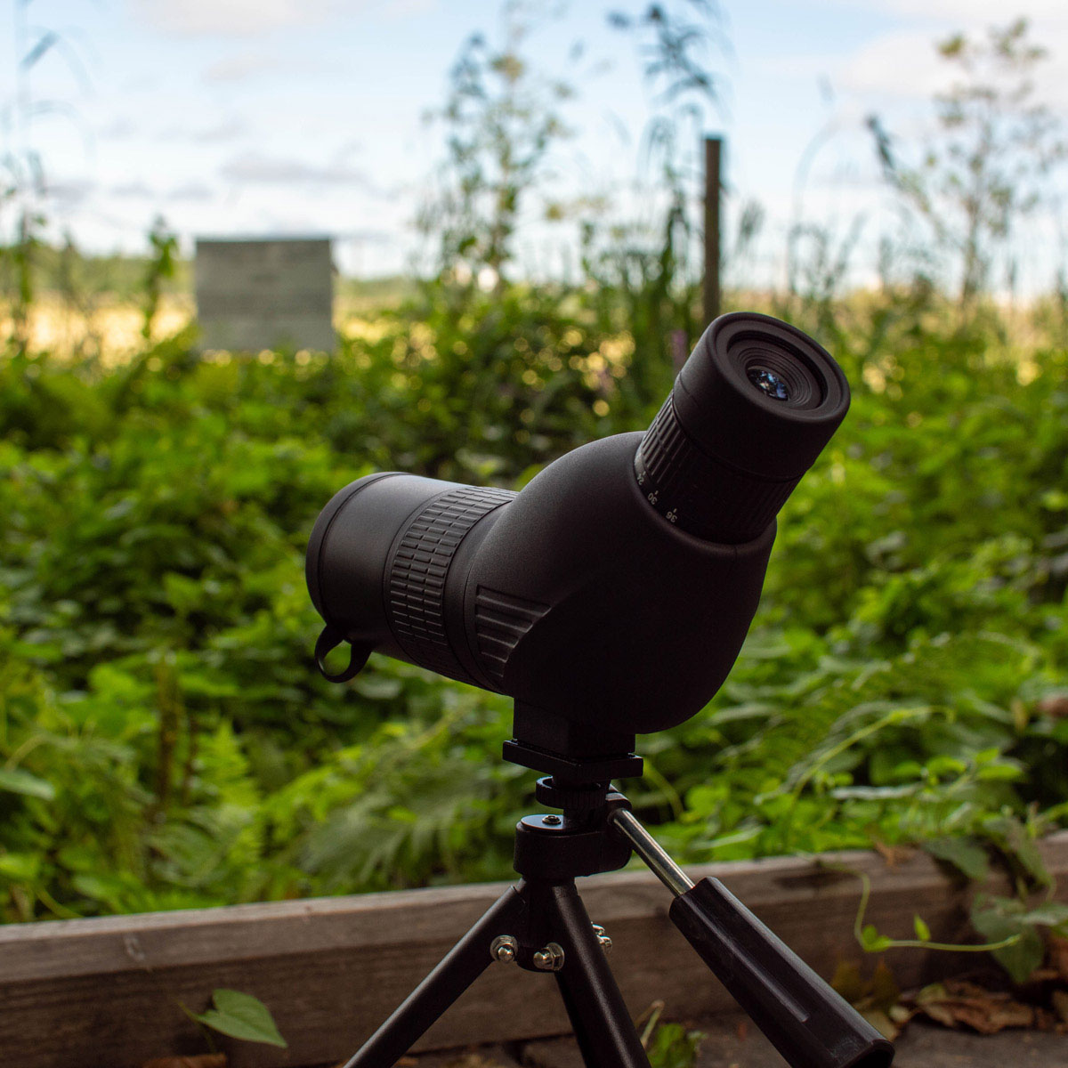 Teleskop Trekker T25