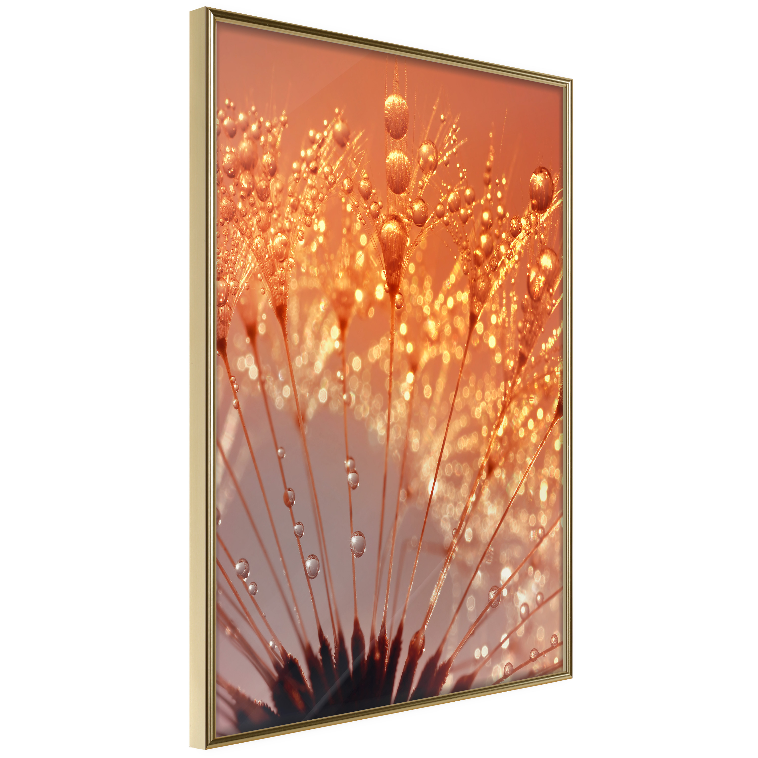 Affisch - Autumn Dandelion [Poster] 20x30 Guld ram, 20x30 cm
