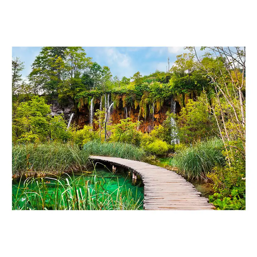 Fototapet Arkiio Självhäftande Green Oasis