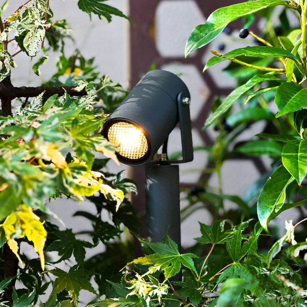 Pollare LightsOn Luna 65