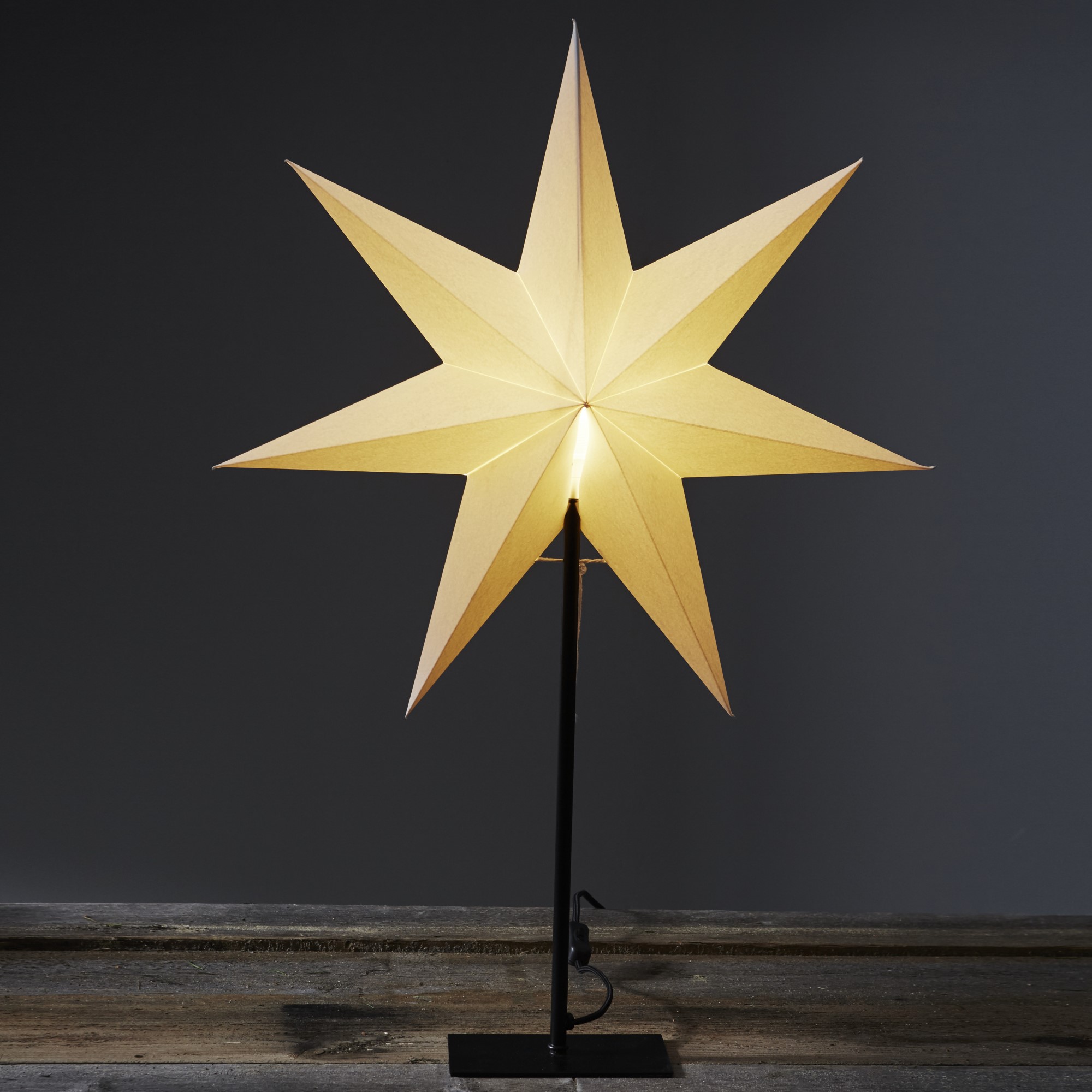 Adventsstjärna Star Trading Frozen Stående