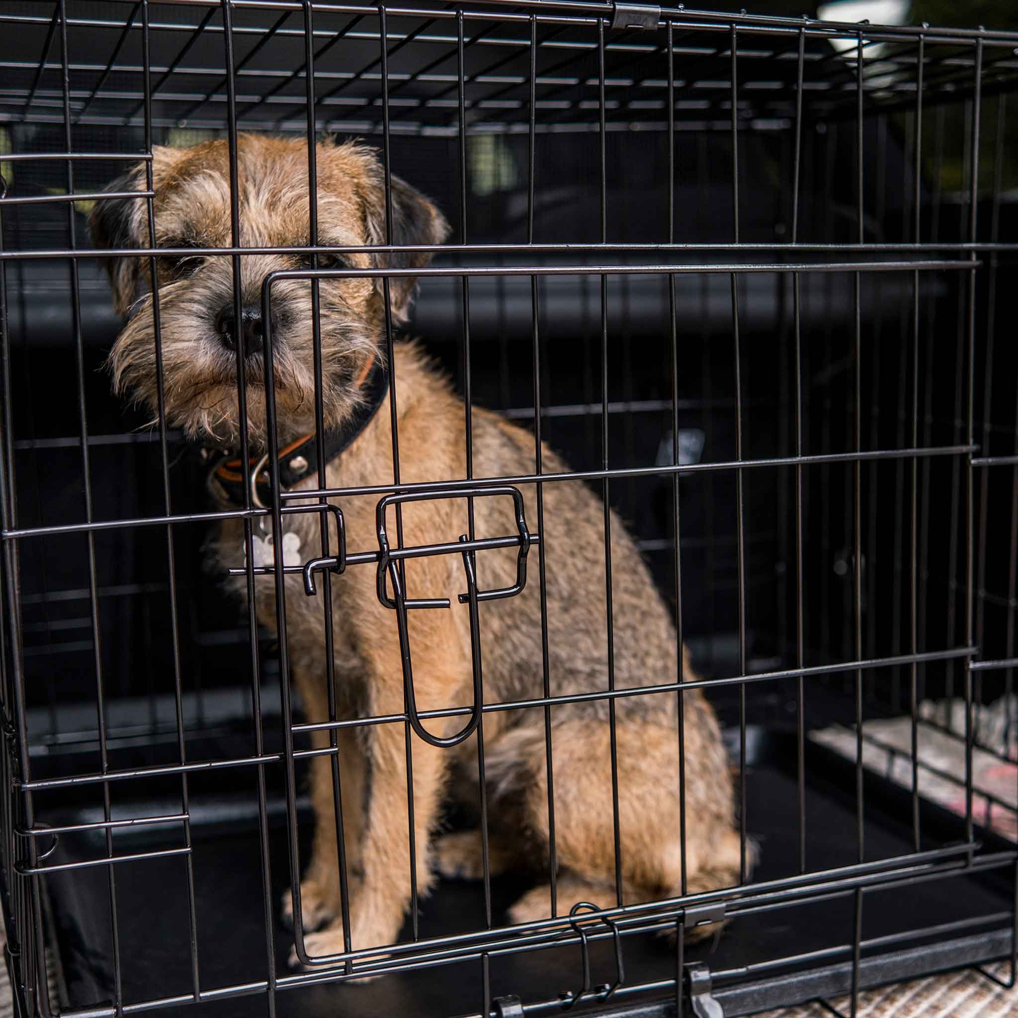 Hundbur Trekker Lättmetall M