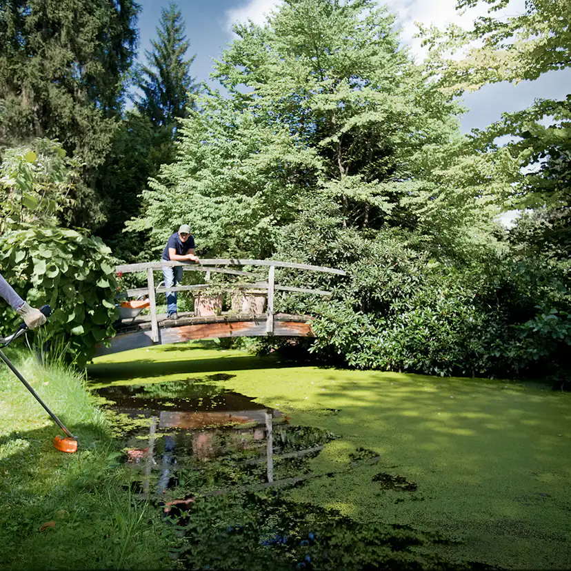 Grästrimmer STIHL FS 55