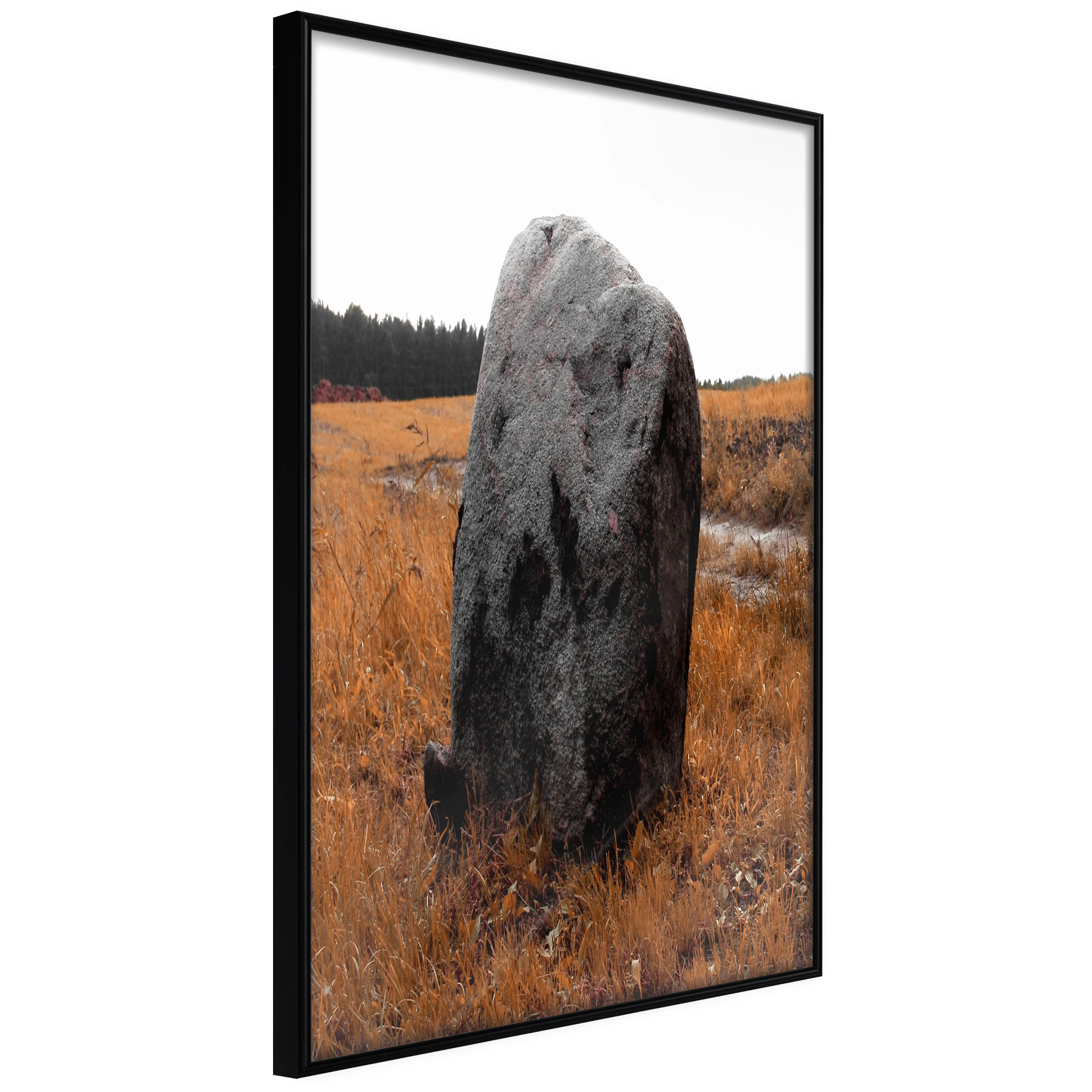 Affisch - Field Signpost [Poster] 30x45 Svart ram, 30x45 cm