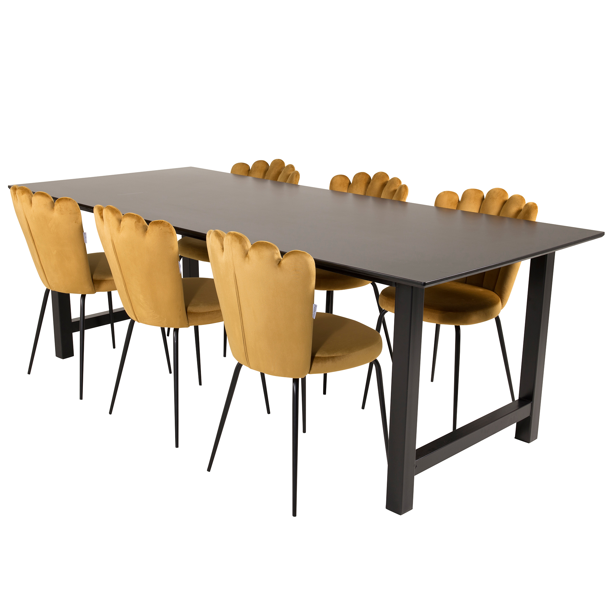 Matgrupp furniture/fashion Clara med 6 Limhamn Light Stolar