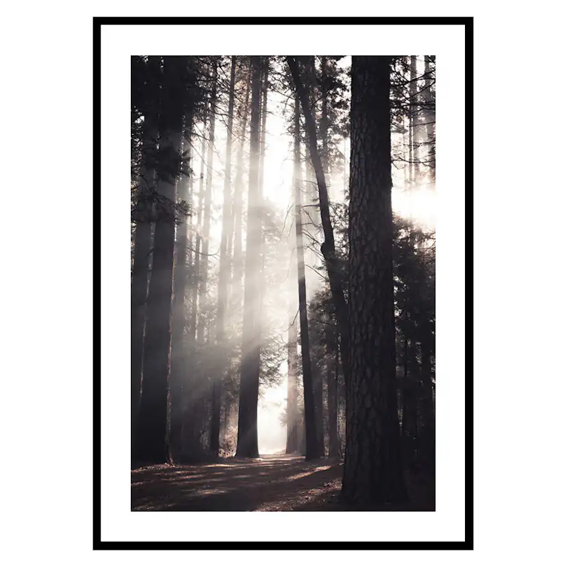 Poster Gallerix Yosemite Valley