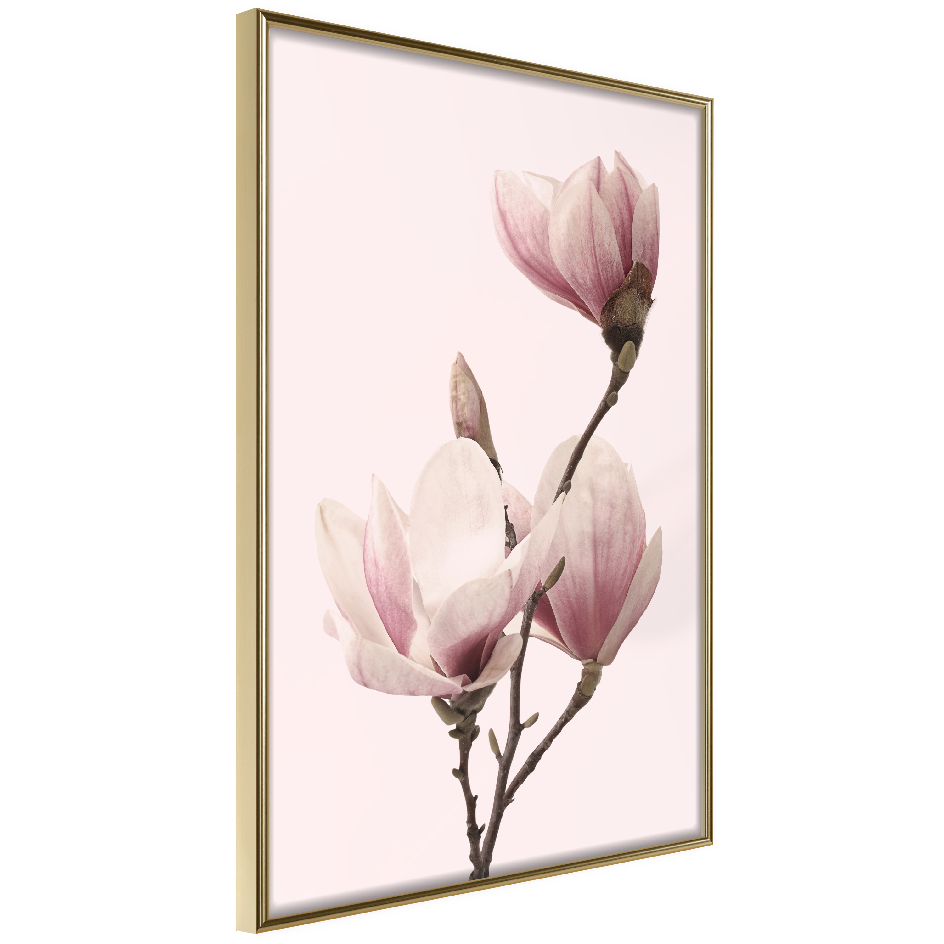 Poster Artgeist Affisch Seasonal Flowers