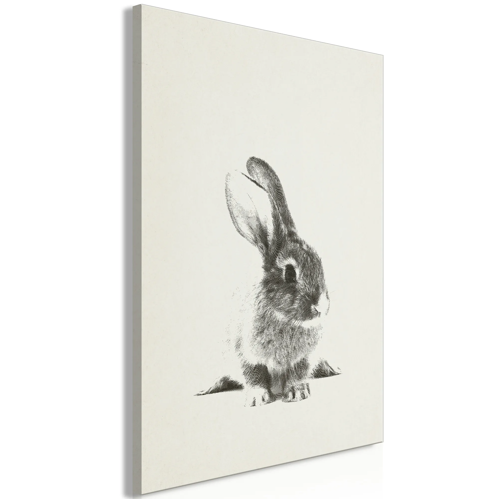 Tavla Arkiio Fluffy Bunny