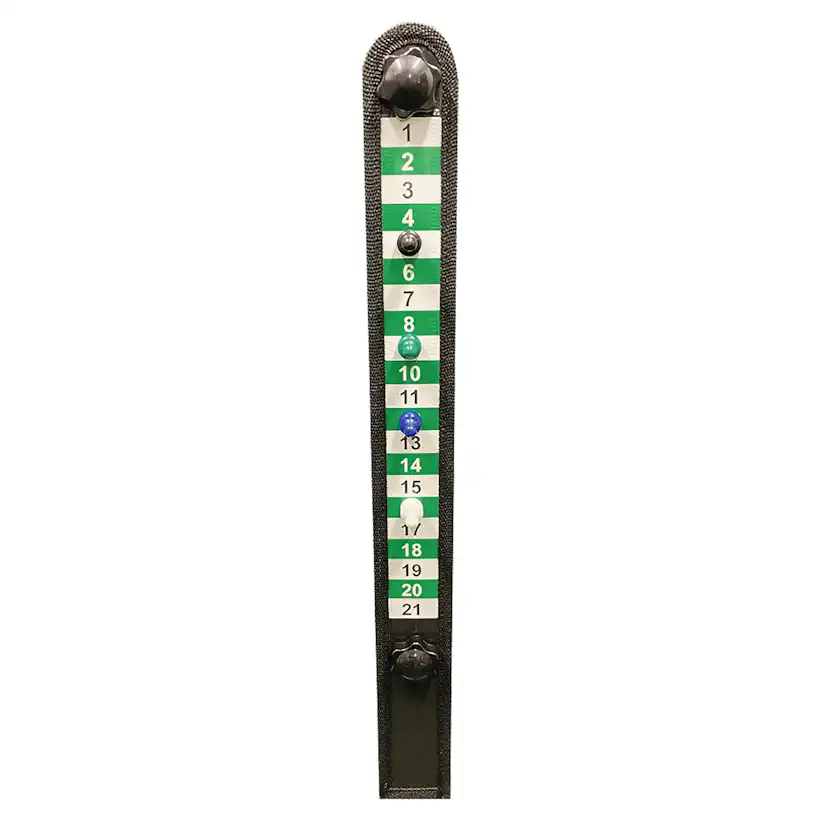 Steggolf Nordic Games Deluxe