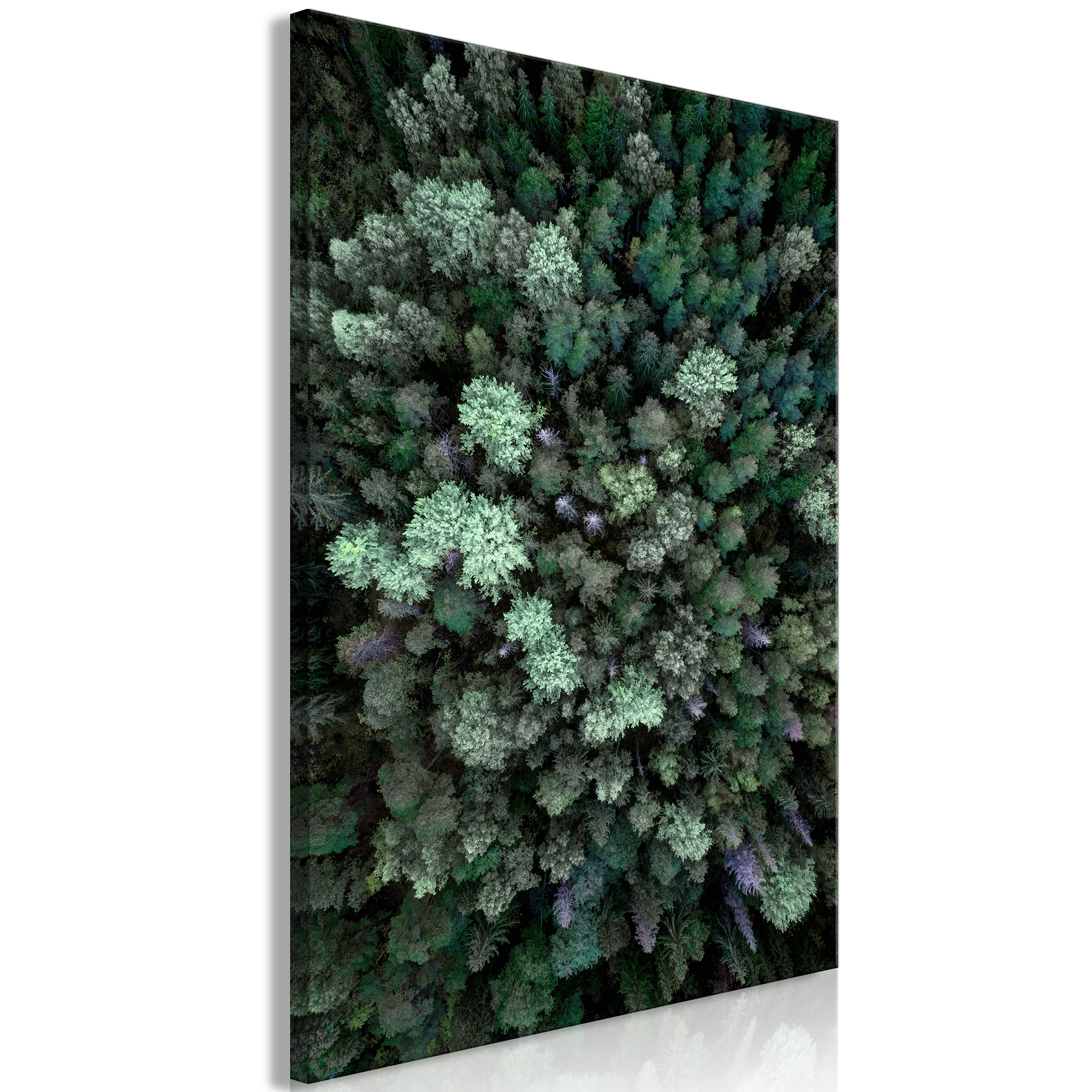 Tavla Arkiio Flying Over Forest