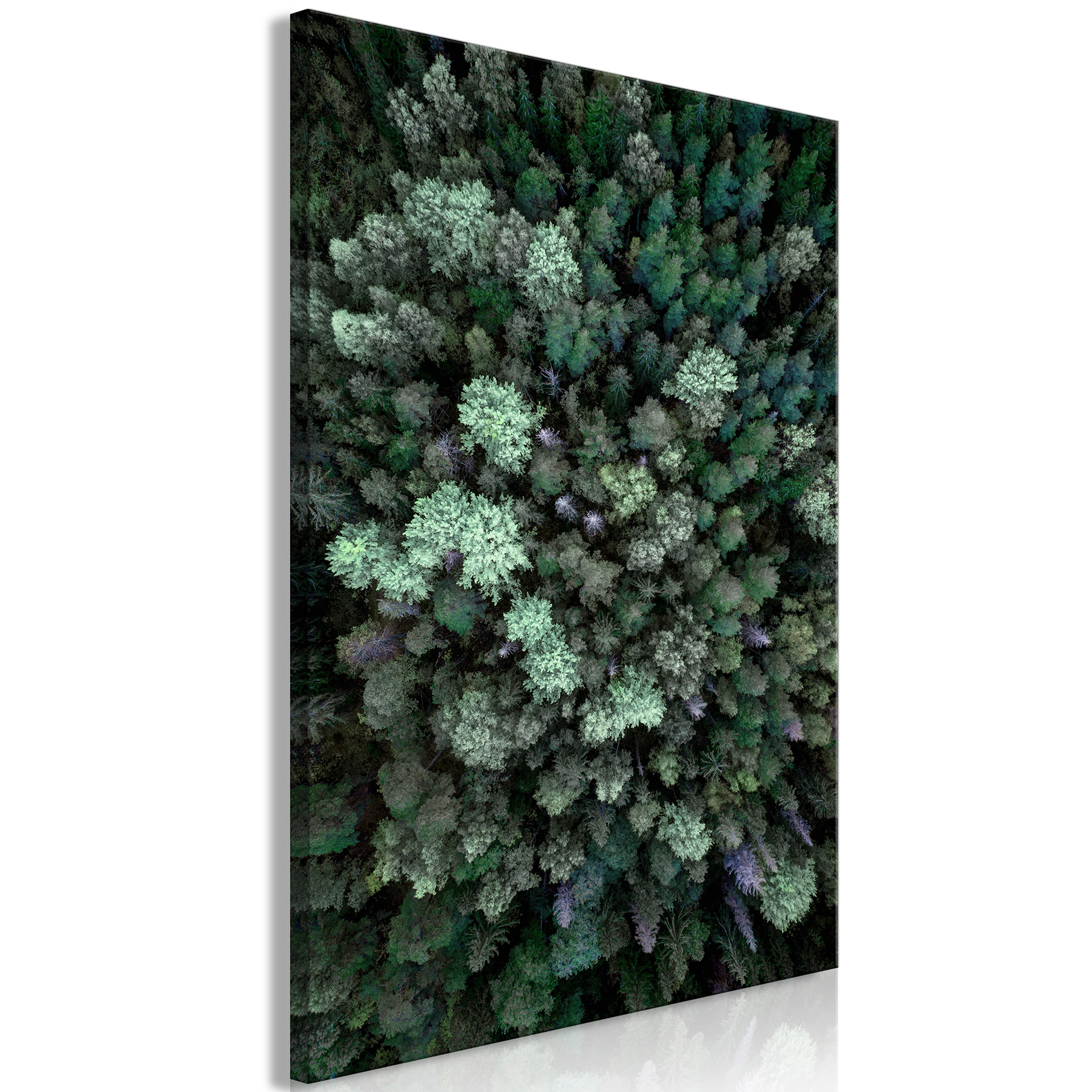 Tavla Arkiio Flying Over Forest
