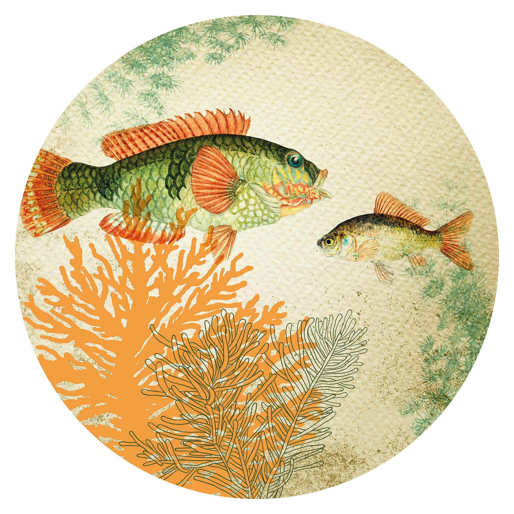 Wallcirkel Art for the Home Fish 3 st ø70/50/30