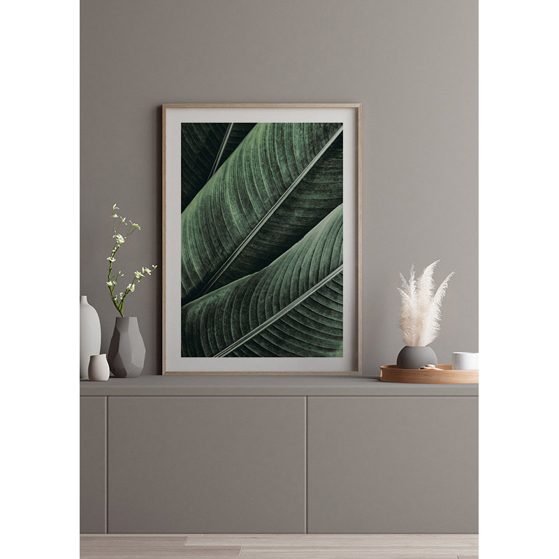 Poster Gallerix Banana Leaves No1