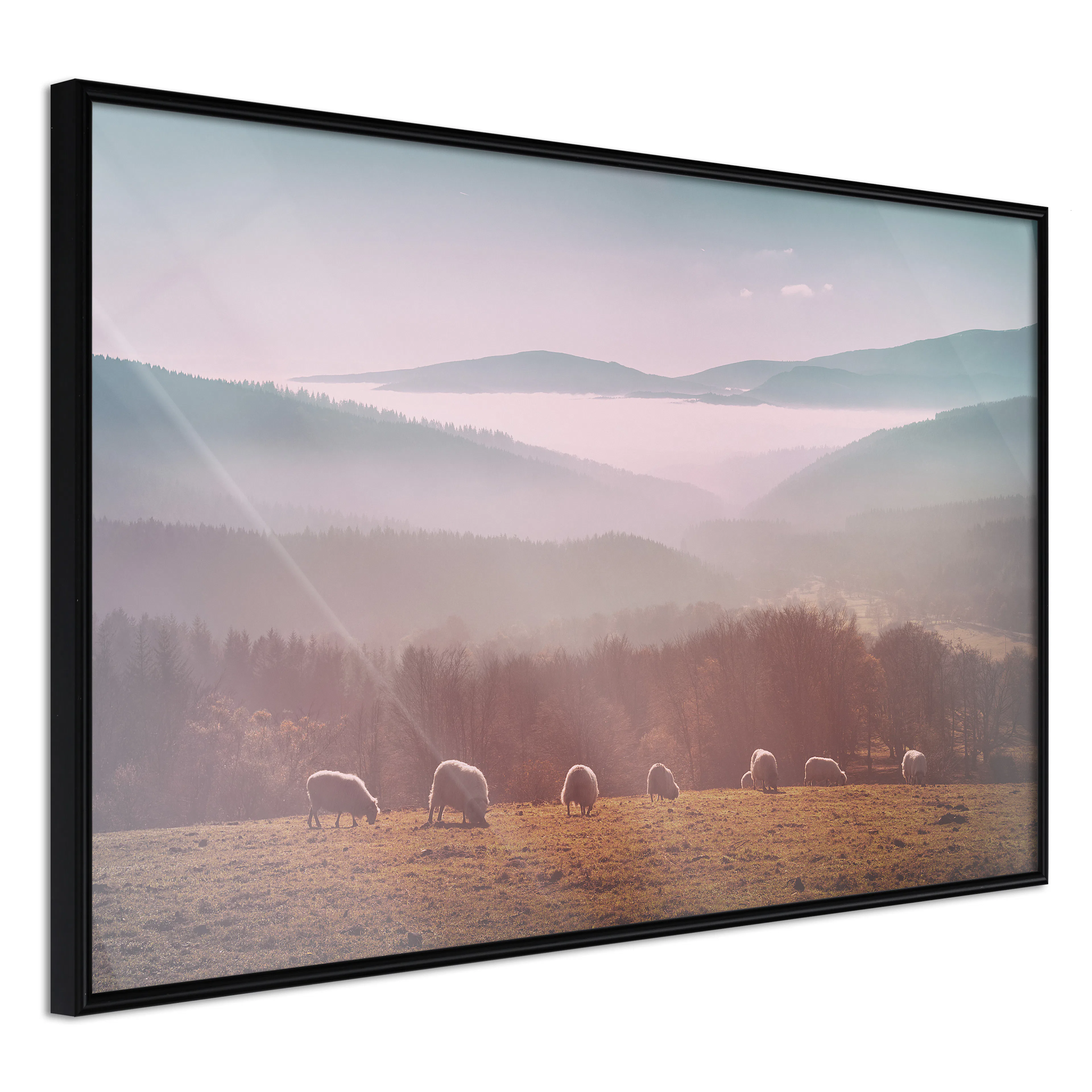 Affisch - Flock of Sheep [Poster] 30x20 Svart ram, 30x20 cm