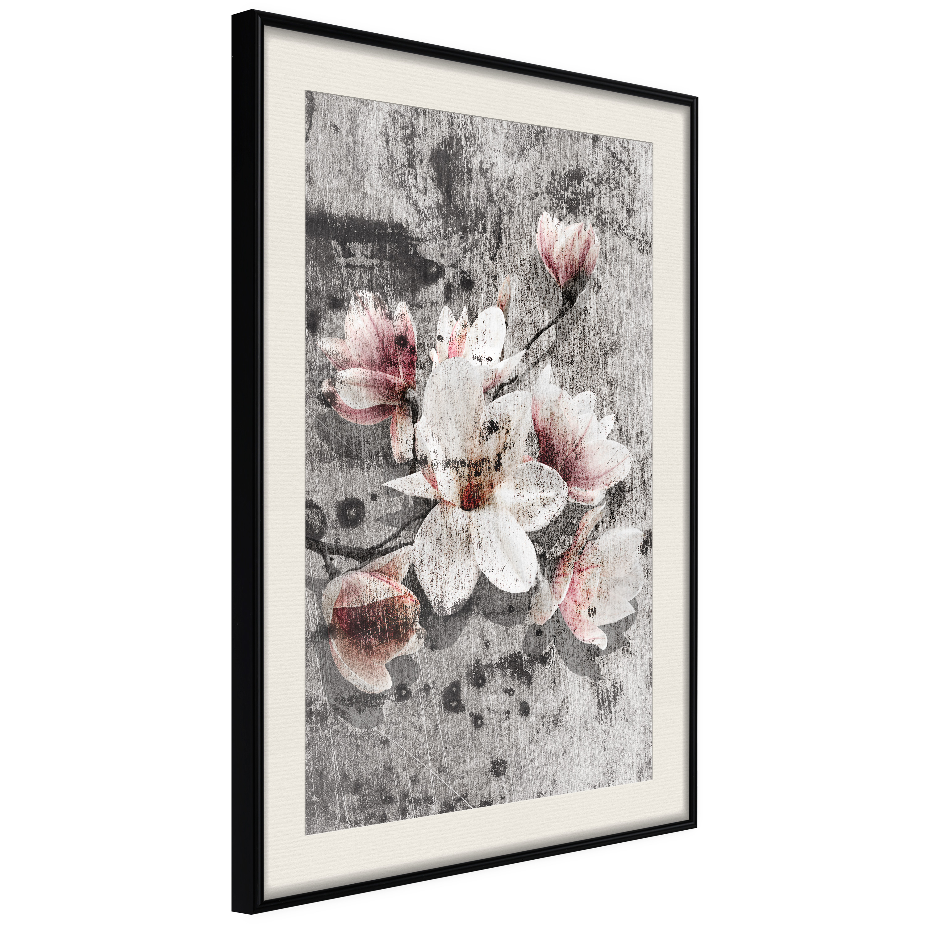 Affisch - Magnolias [Poster] 20x30 Svart ram med passepartout, 20x30 cm