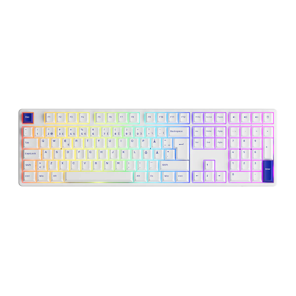6925758621656 Blå/Vit, Brytare: Akko CS Jelly Silver