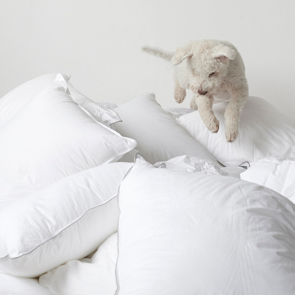 Hotellkudde Borganäs of Sweden