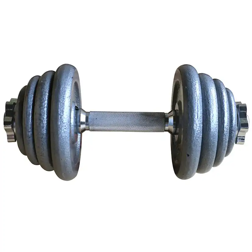 Hantlar Titan Life Ställbara 15kg