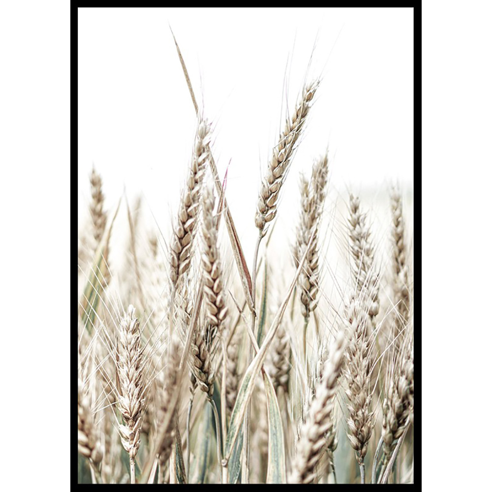 Poster Gallerix Growing Wild