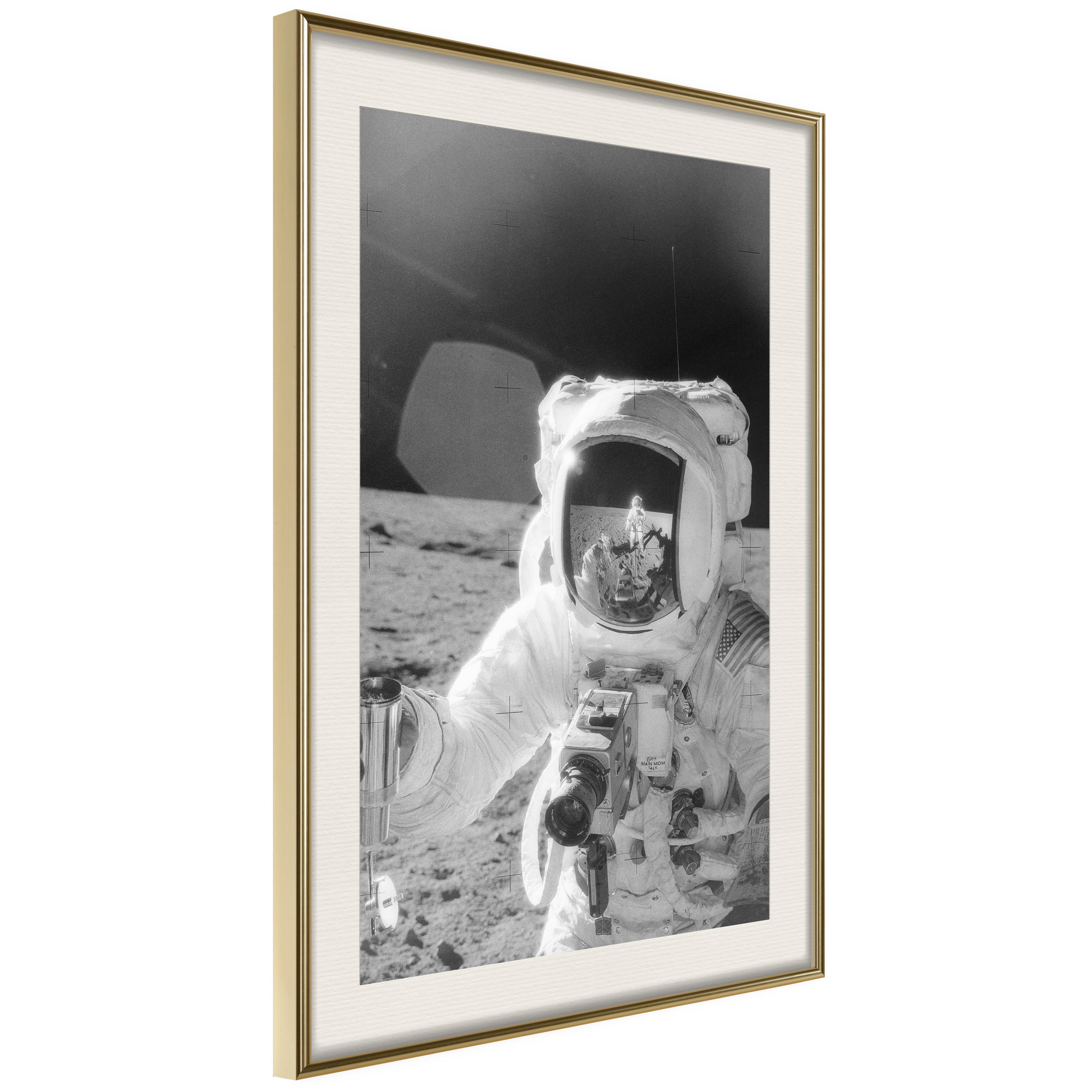 Affisch - Profession of Astronaut [Poster] 30x45 Guld ram med passepartout, 30x45 cm