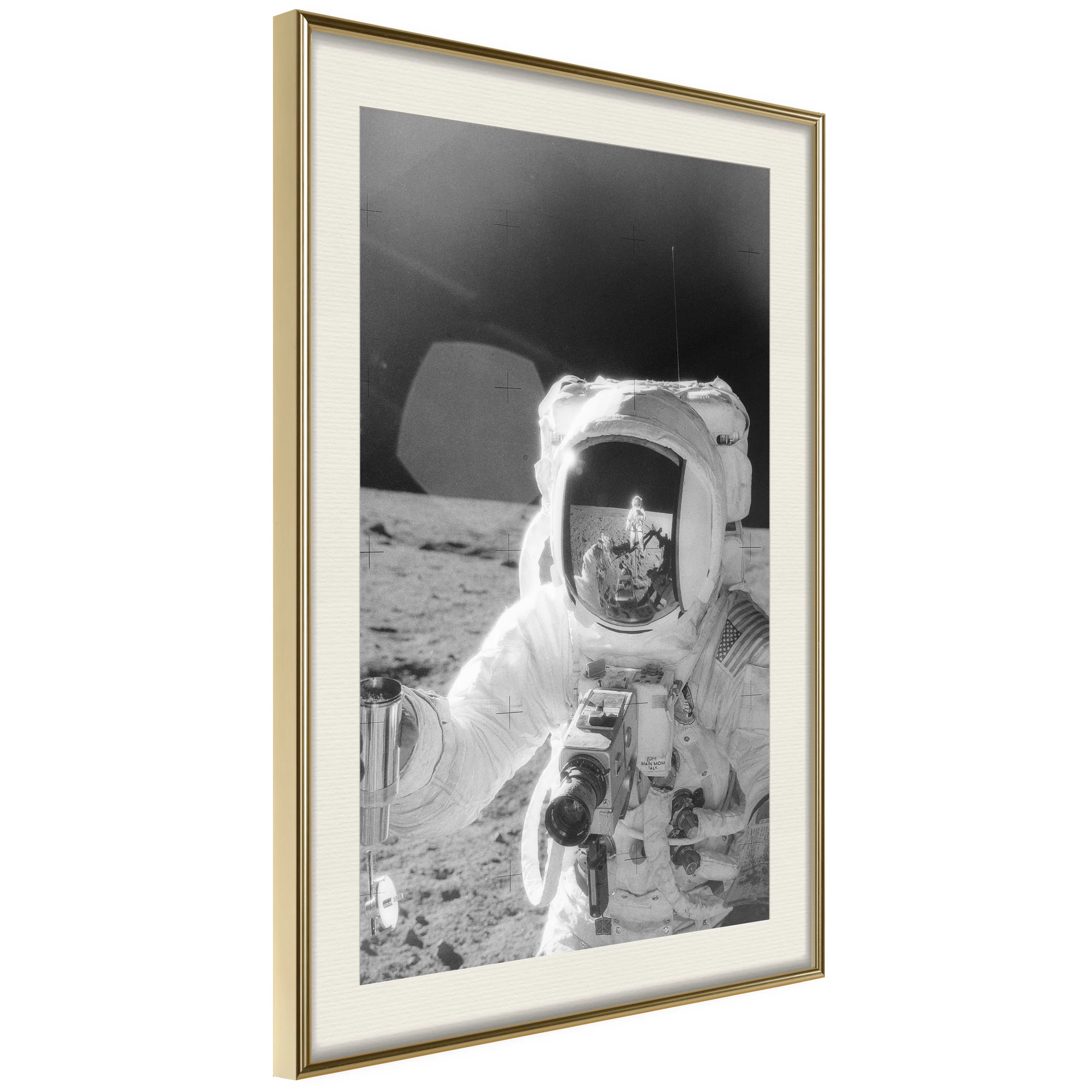 Poster Artgeist Affisch Profession of Astronaut