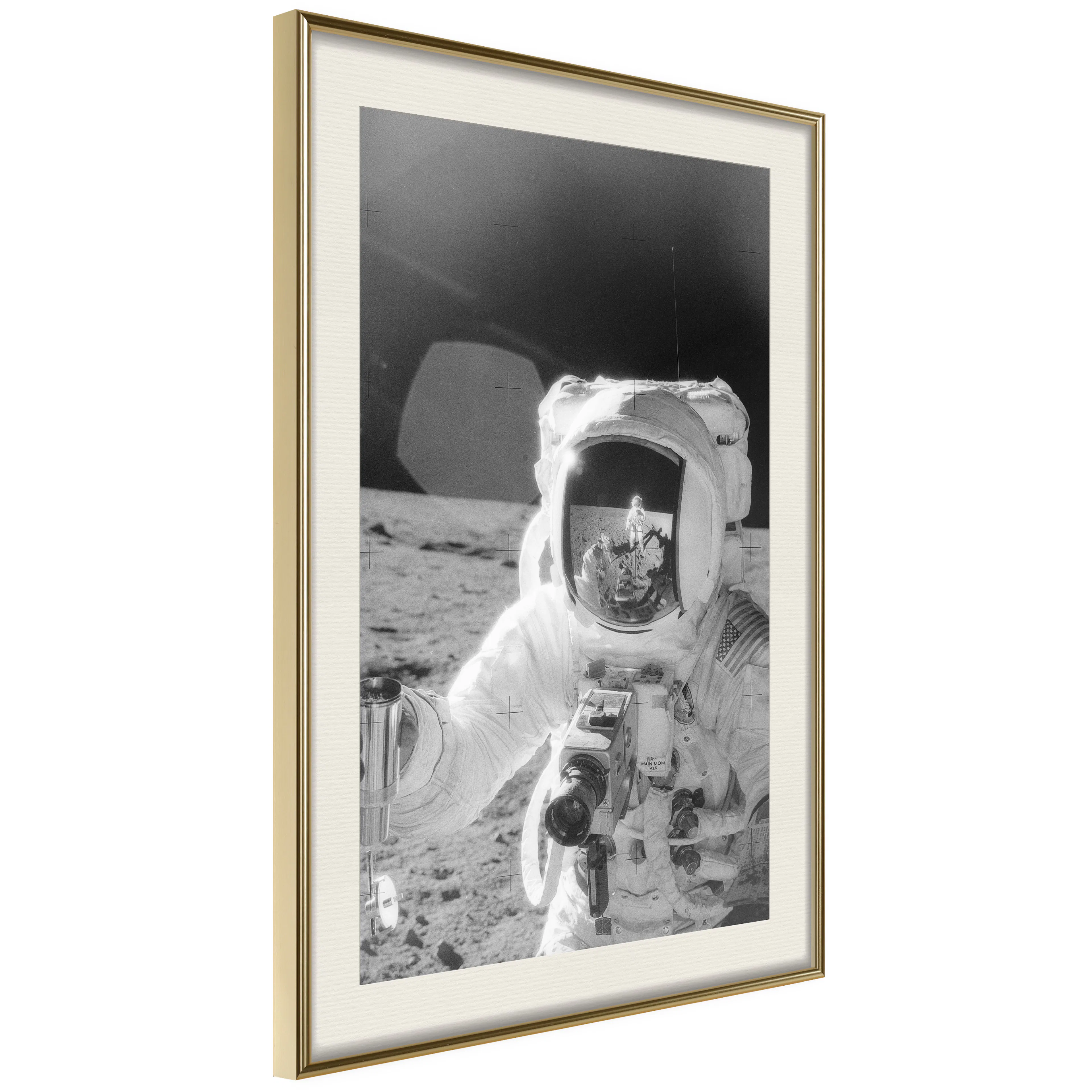 Poster Artgeist Affisch Profession of Astronaut