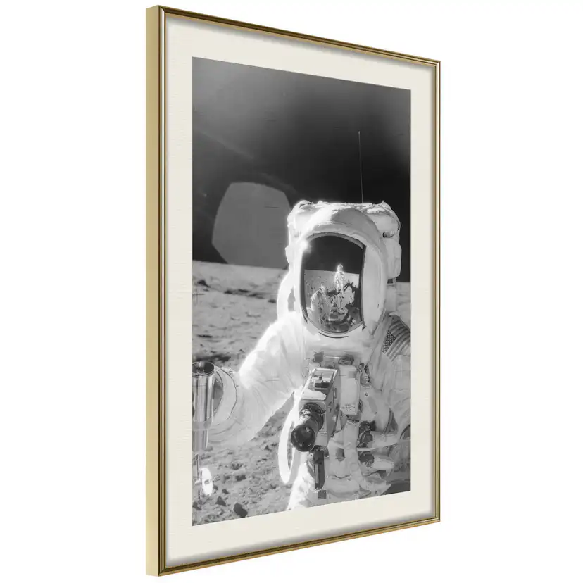 Poster Artgeist Affisch Profession of Astronaut