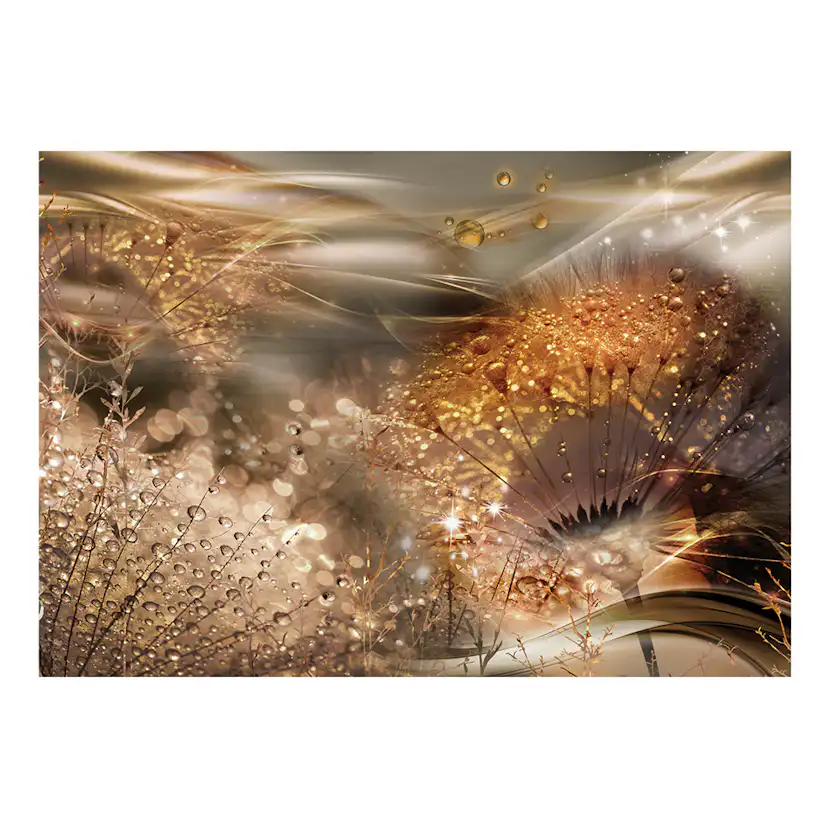 Fototapet Arkiio Dandelions' World Gold