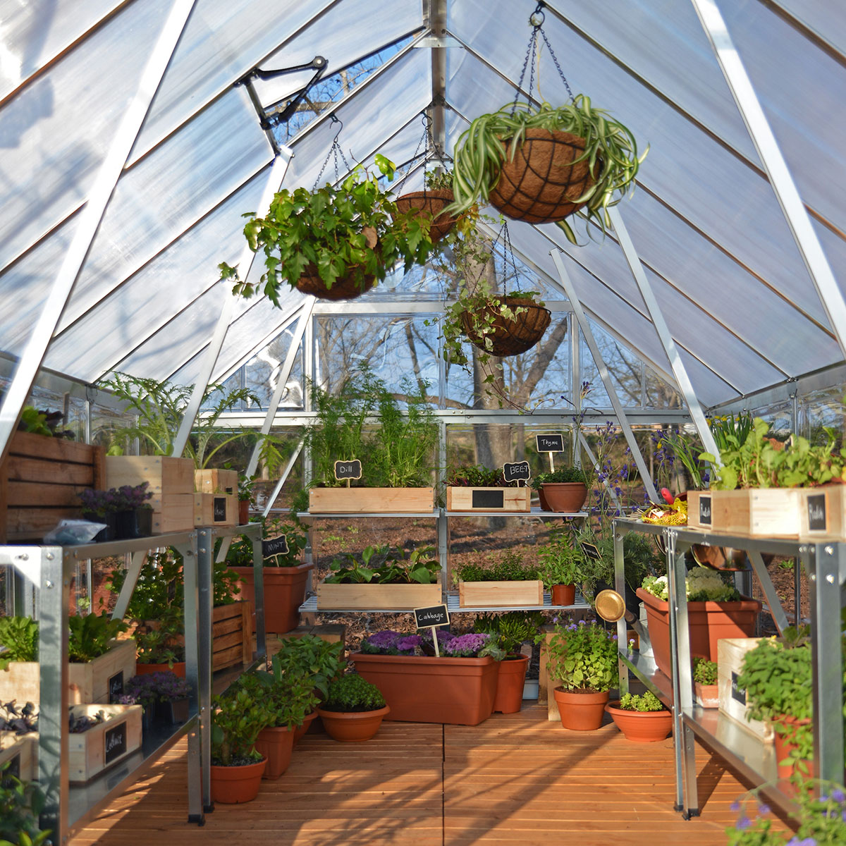 Växthus Canopia by Palram Balance 11,9 m²