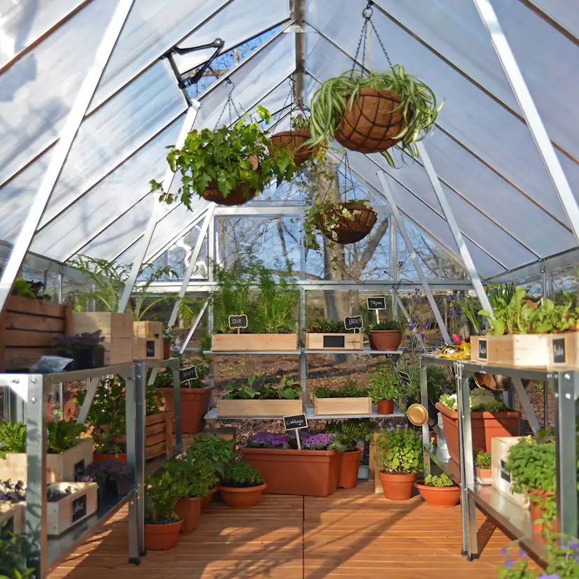 Växthus Canopia by Palram Balance 11,9 m²