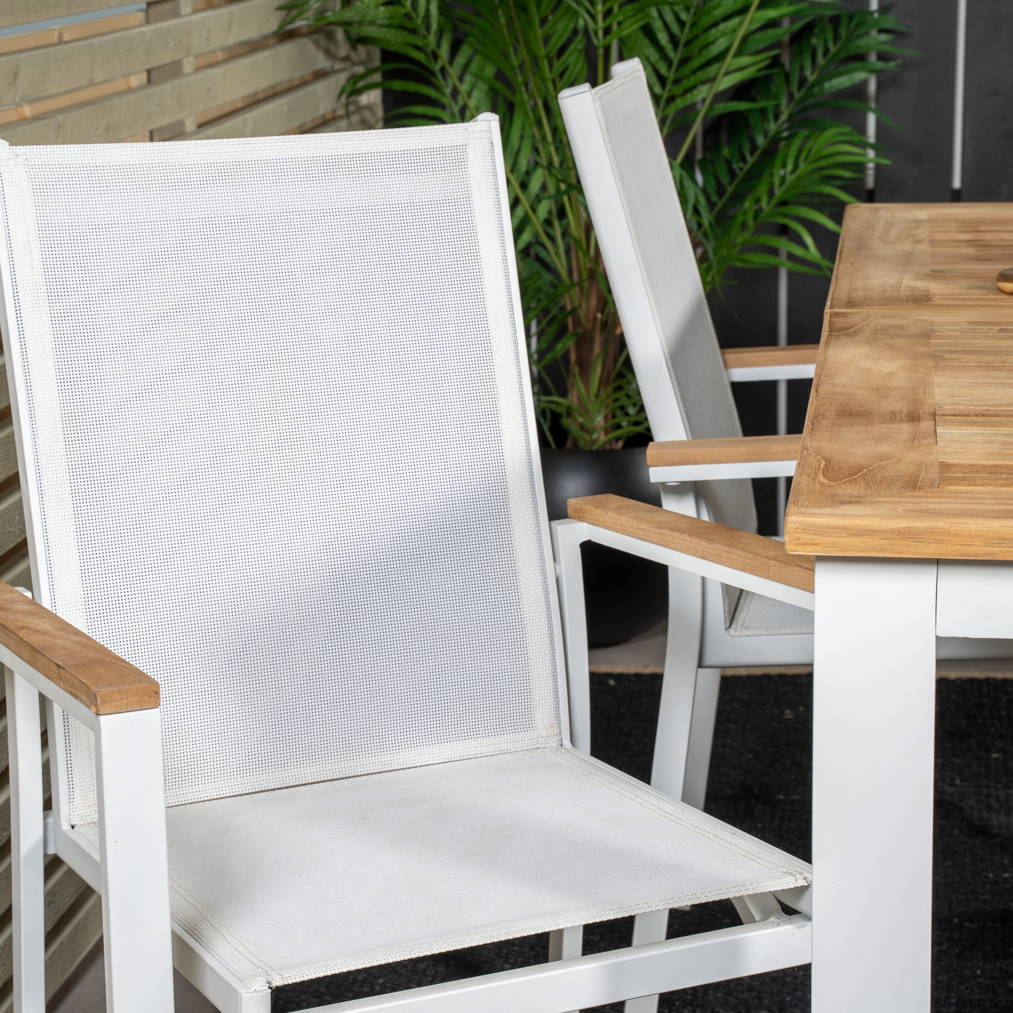 Panama Dining Table 152/210*90 - White Alu / Teak+Texas Arm Blanka Ben