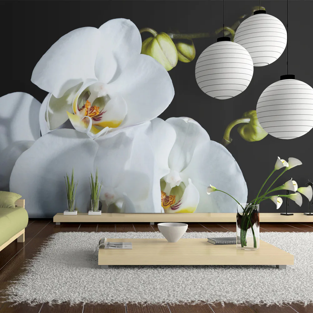 Fototapet Arkiio Phalaenopsis 450x270 cm