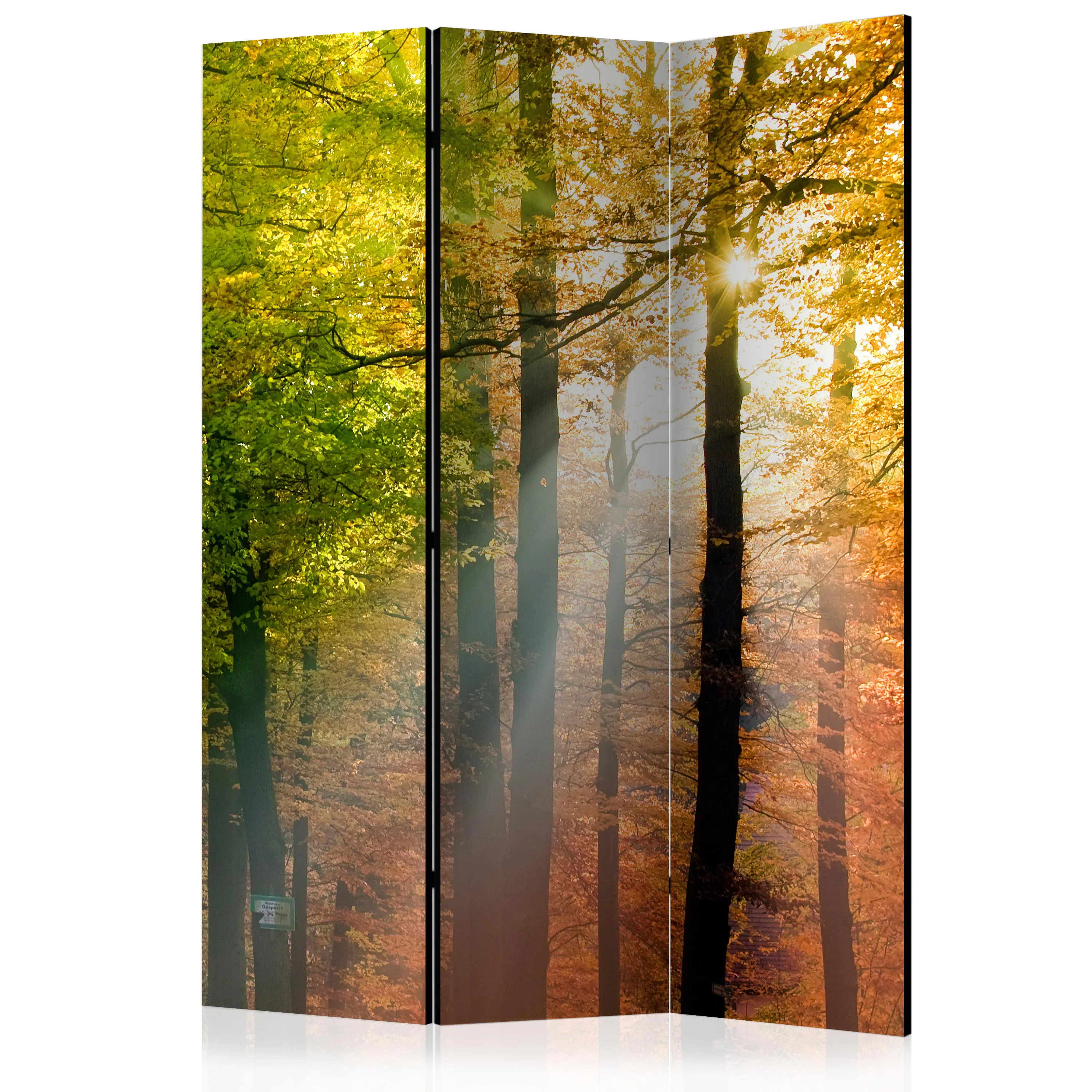 Rumsavdelare Skärmvägg Arkiio Forest Colours 135x172 cm