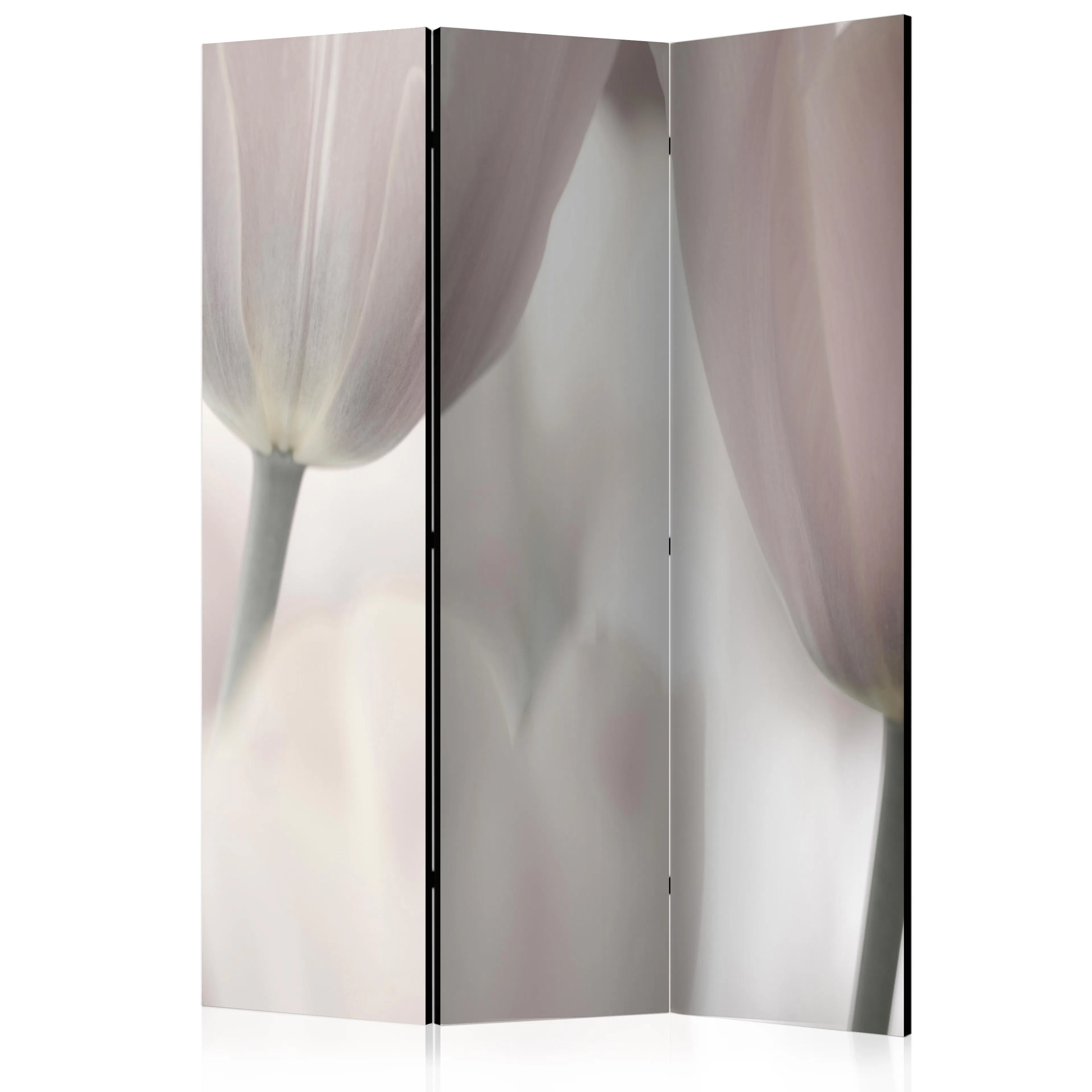 Rumsavdelare Skärmvägg Arkiio Tulips Fine Art Black And White 135x172 cm