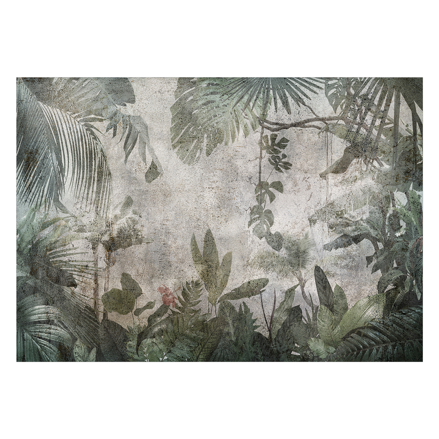 Fototapet Arkiio Rain Forest in the Fog