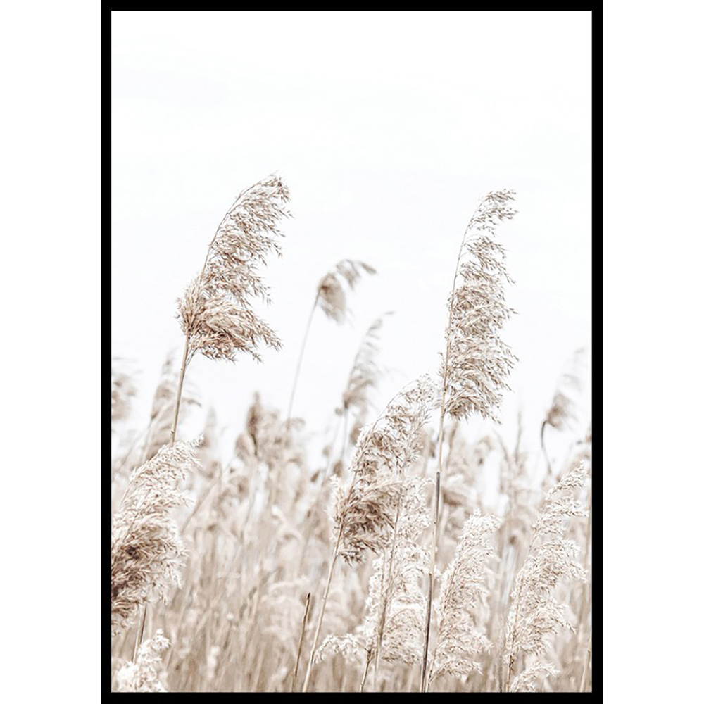 Poster Gallerix Boho Dried In Nature No5
