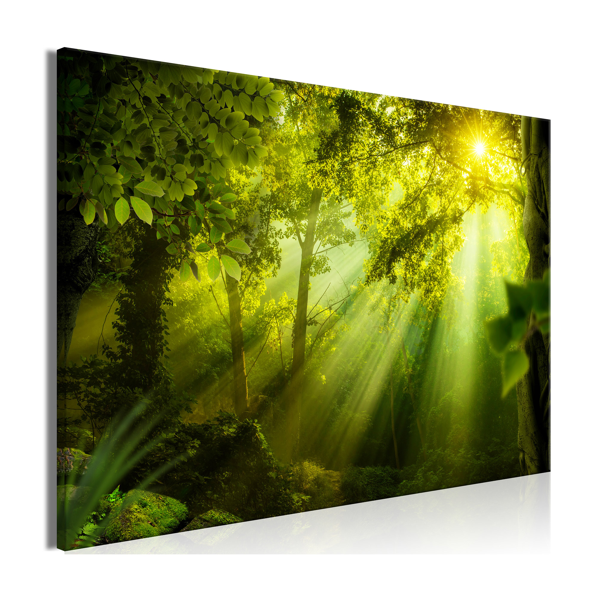 Tavla Arkiio In The Sunshine