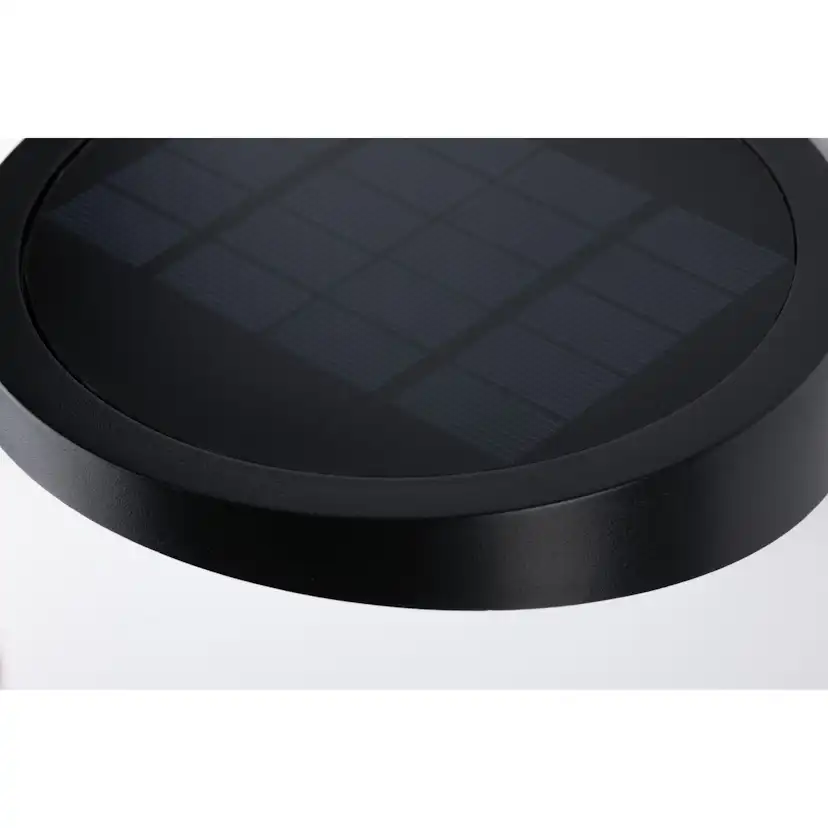 Fasadbelysning Solcell Paulmann Ryse LED med Rörelsesensor IP44