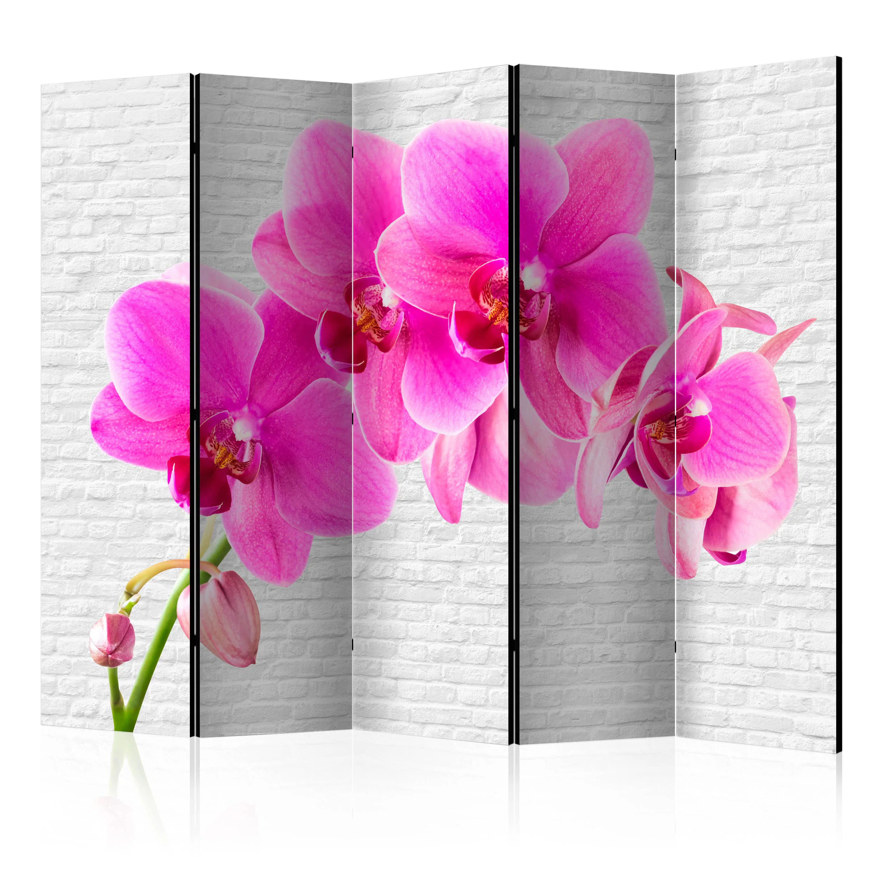Rumsavdelare Skärmvägg Arkiio Pink Excitation II 225x172 cm