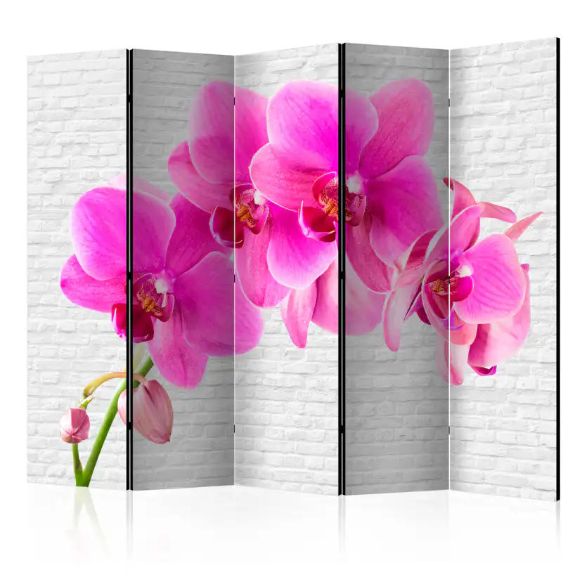Rumsavdelare Skärmvägg Arkiio Pink Excitation II 225x172 cm