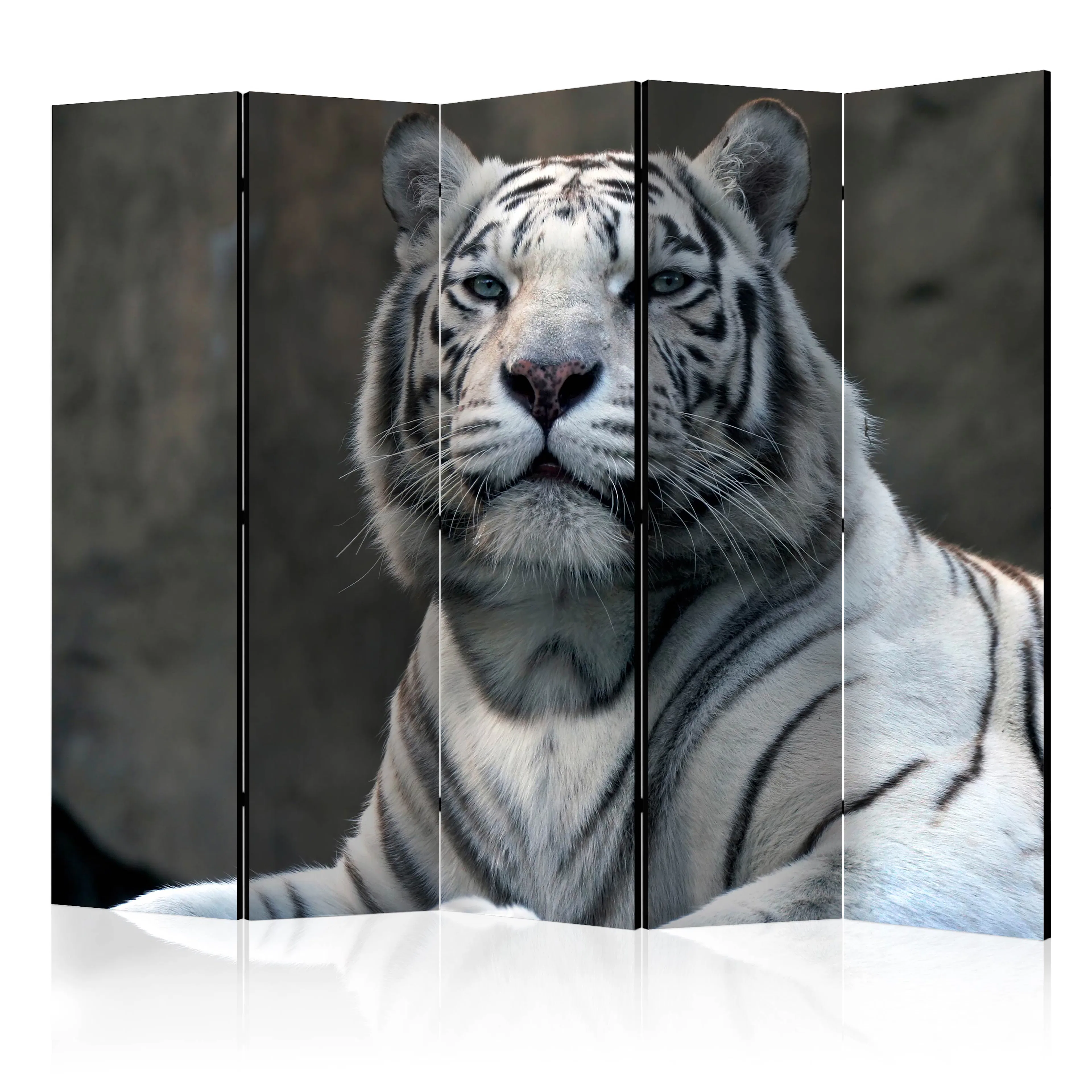 Rumsavdelare Skärmvägg Arkiio Bengali Tiger In Zoo II 225x172 cm