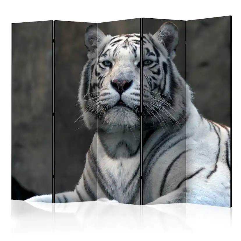 Rumsavdelare Skärmvägg Arkiio Bengali Tiger In Zoo II 225x172 cm